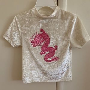 velvet high neck crop top